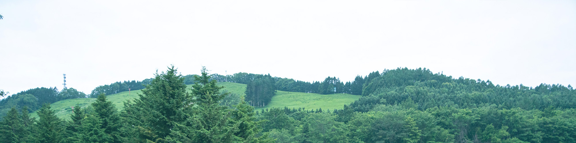 デフォルトページ背景